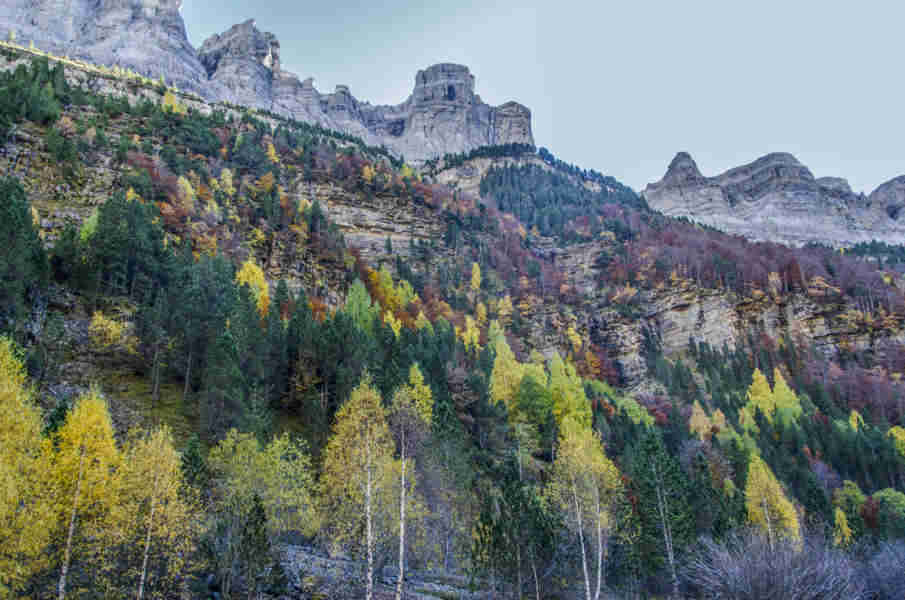 Huesca - parque nacional de Ordesa y Monte Perdido - valle de Ordesa 132.jpg
